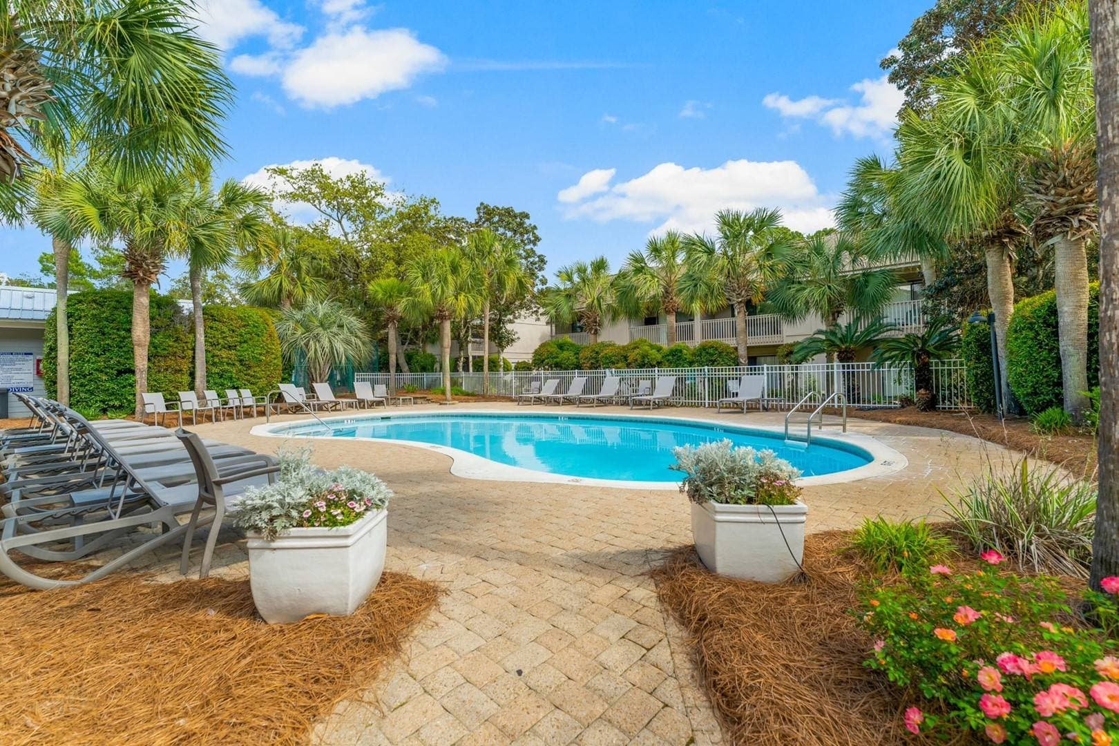 Cypress Sanctuary - Image 27