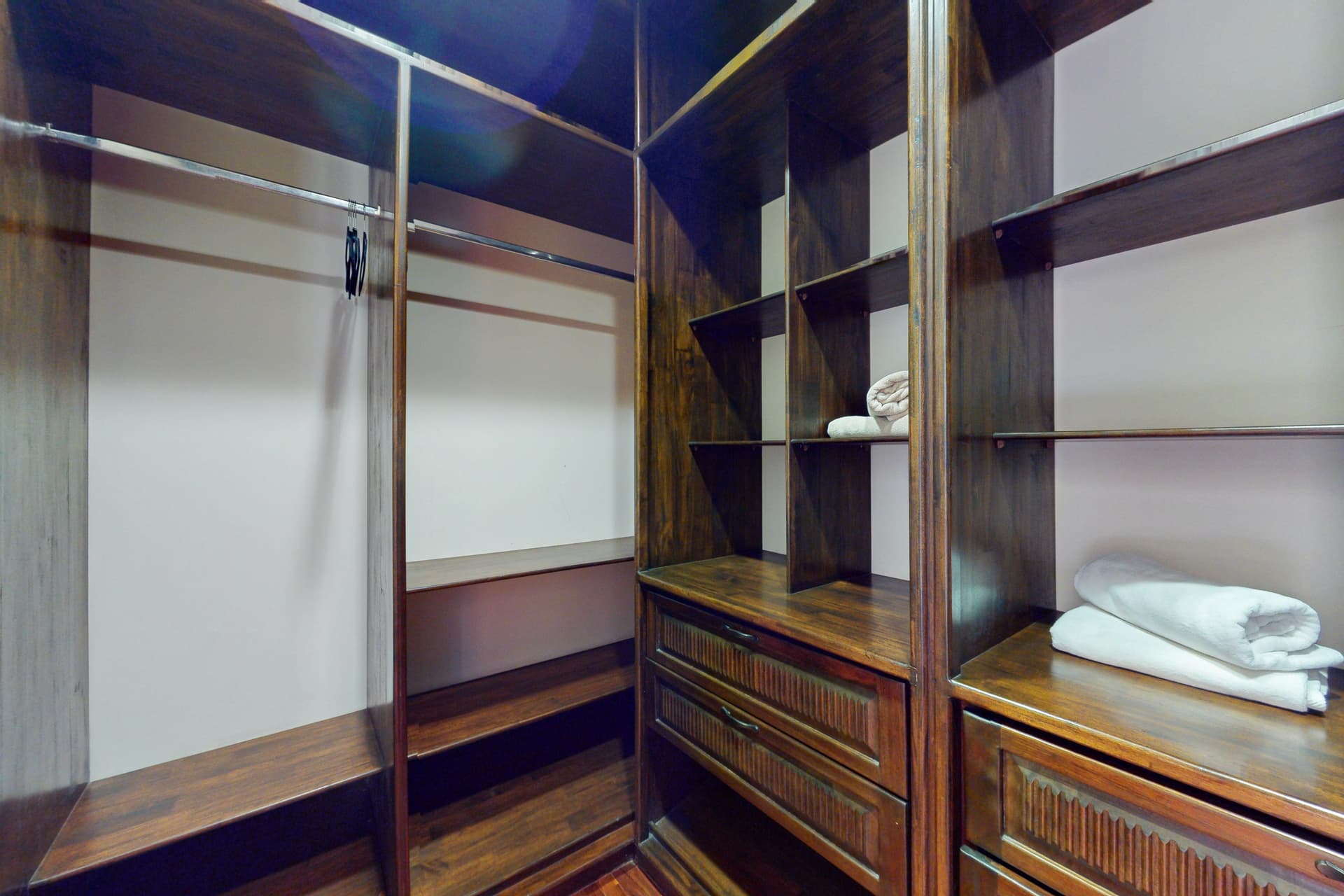 Pinilla Flor de Malinche - Image 37