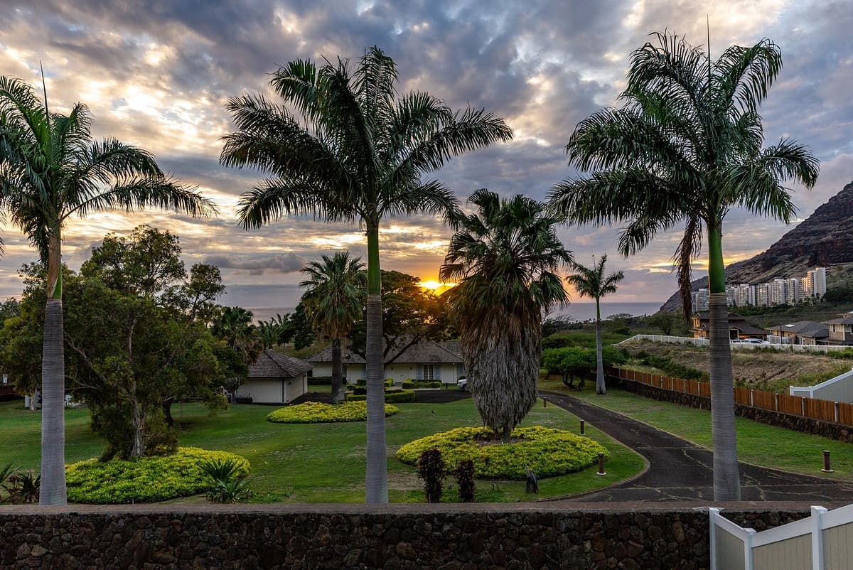 Aloha Breeze - Image 50