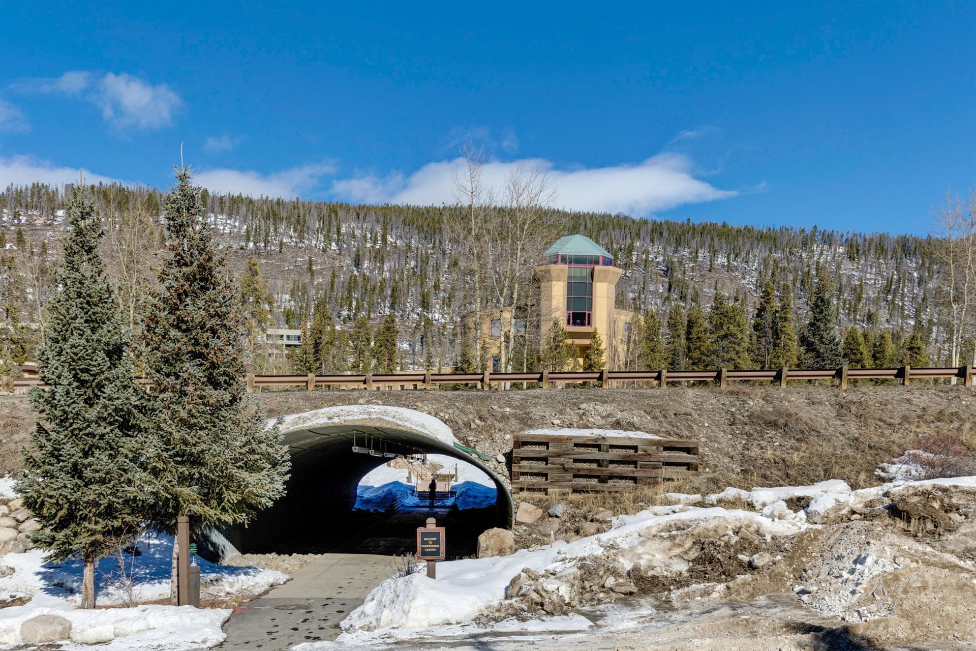 Willows Residence - Image 37