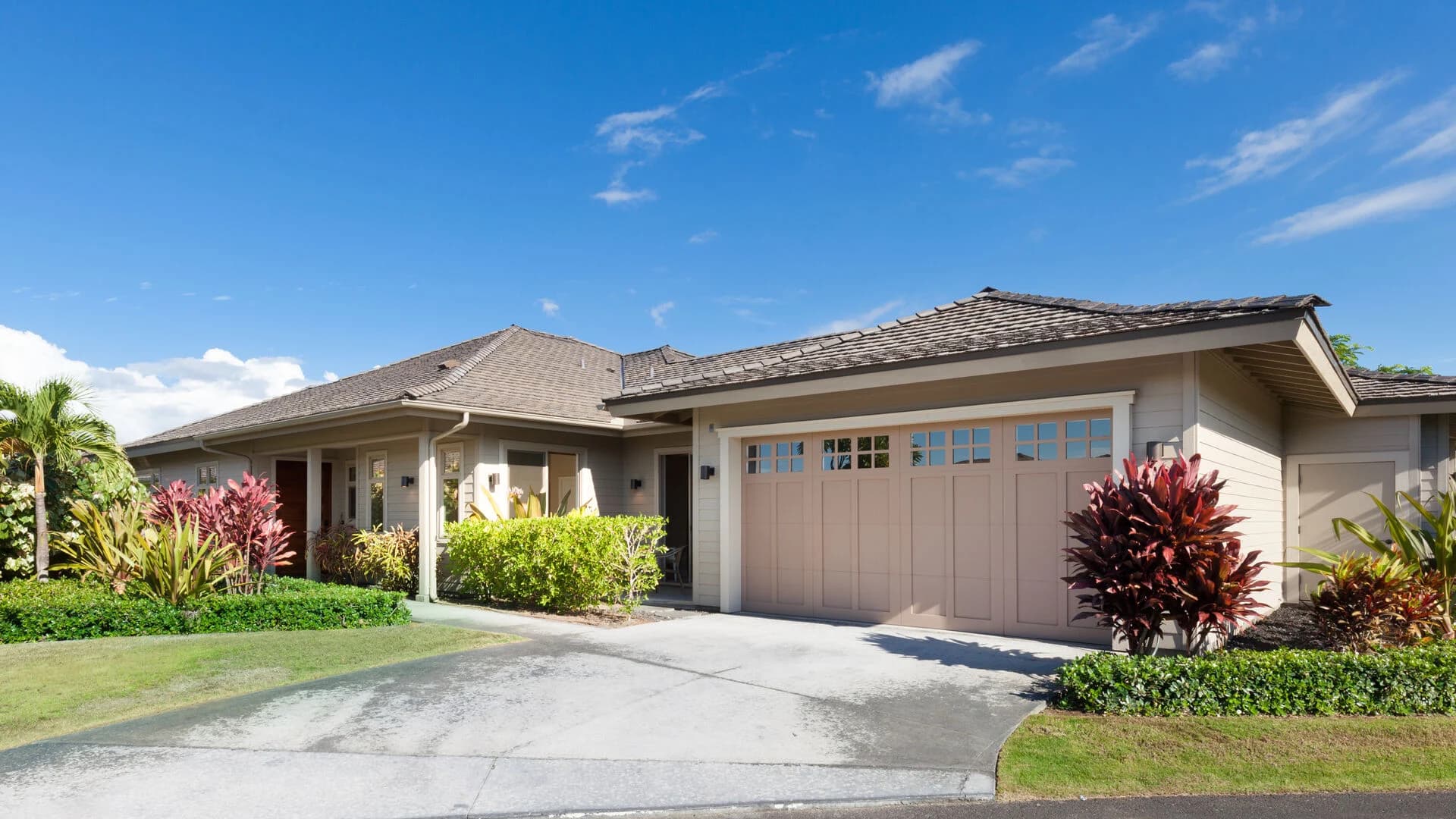 Flora Paradise - Image 23