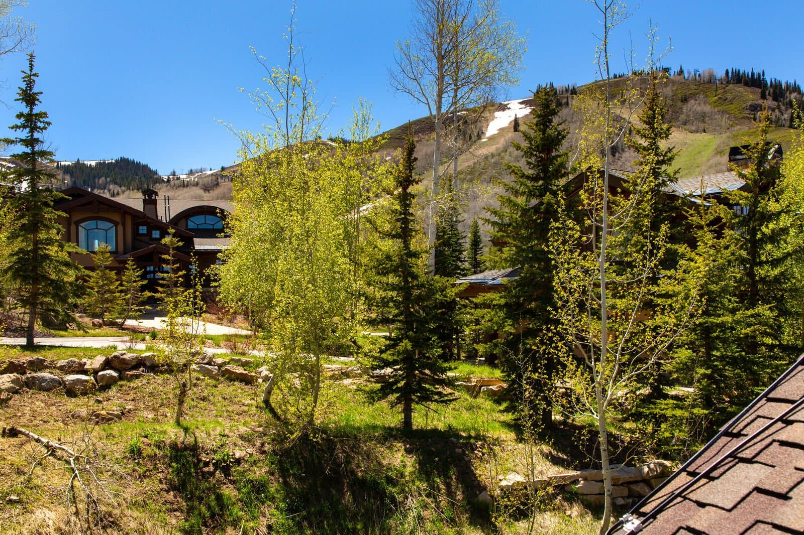 Star House - Image 41