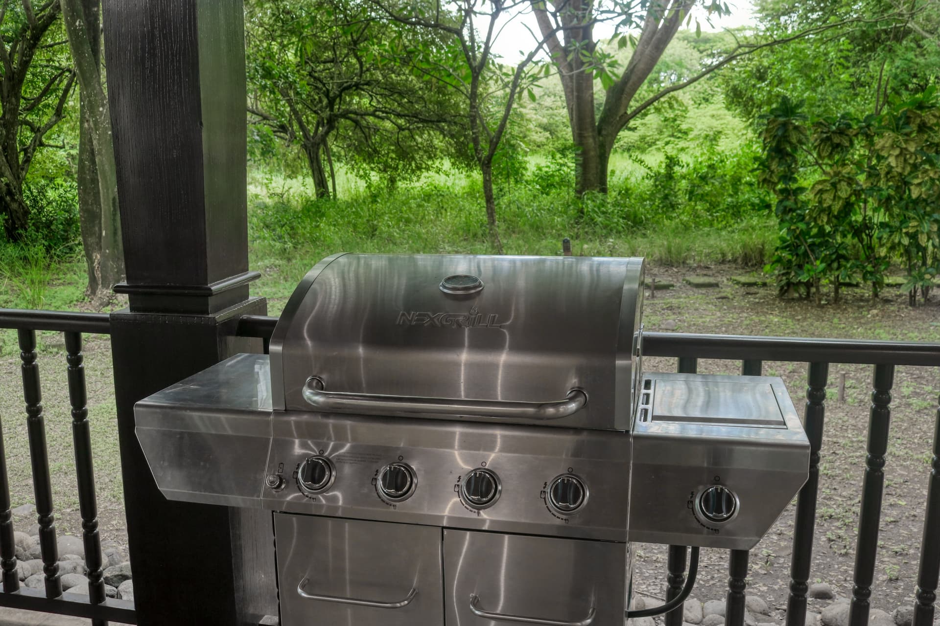 Pinilla Flor de Malinche - Image 44