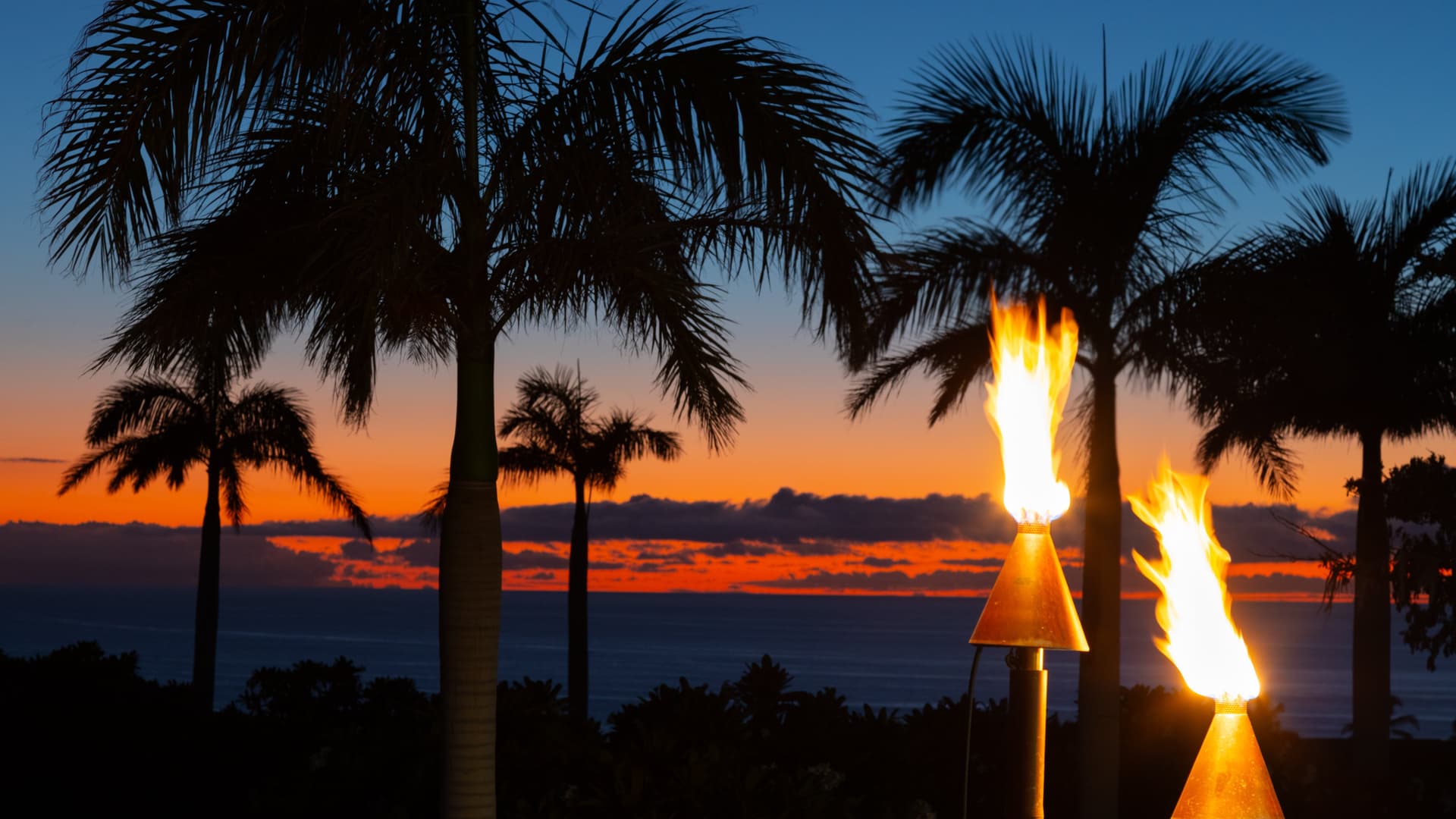 Blue Serenity - Image 88