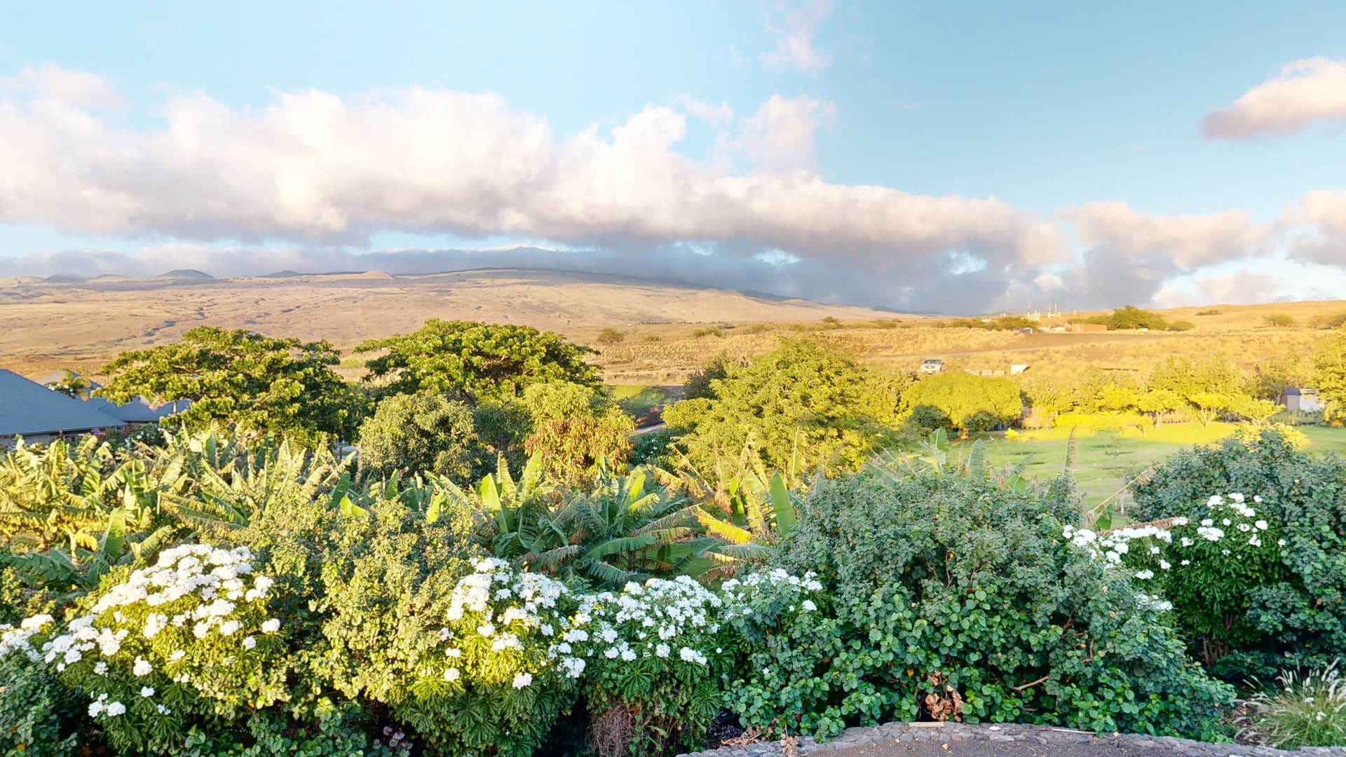 Blue Serenity - Image 100