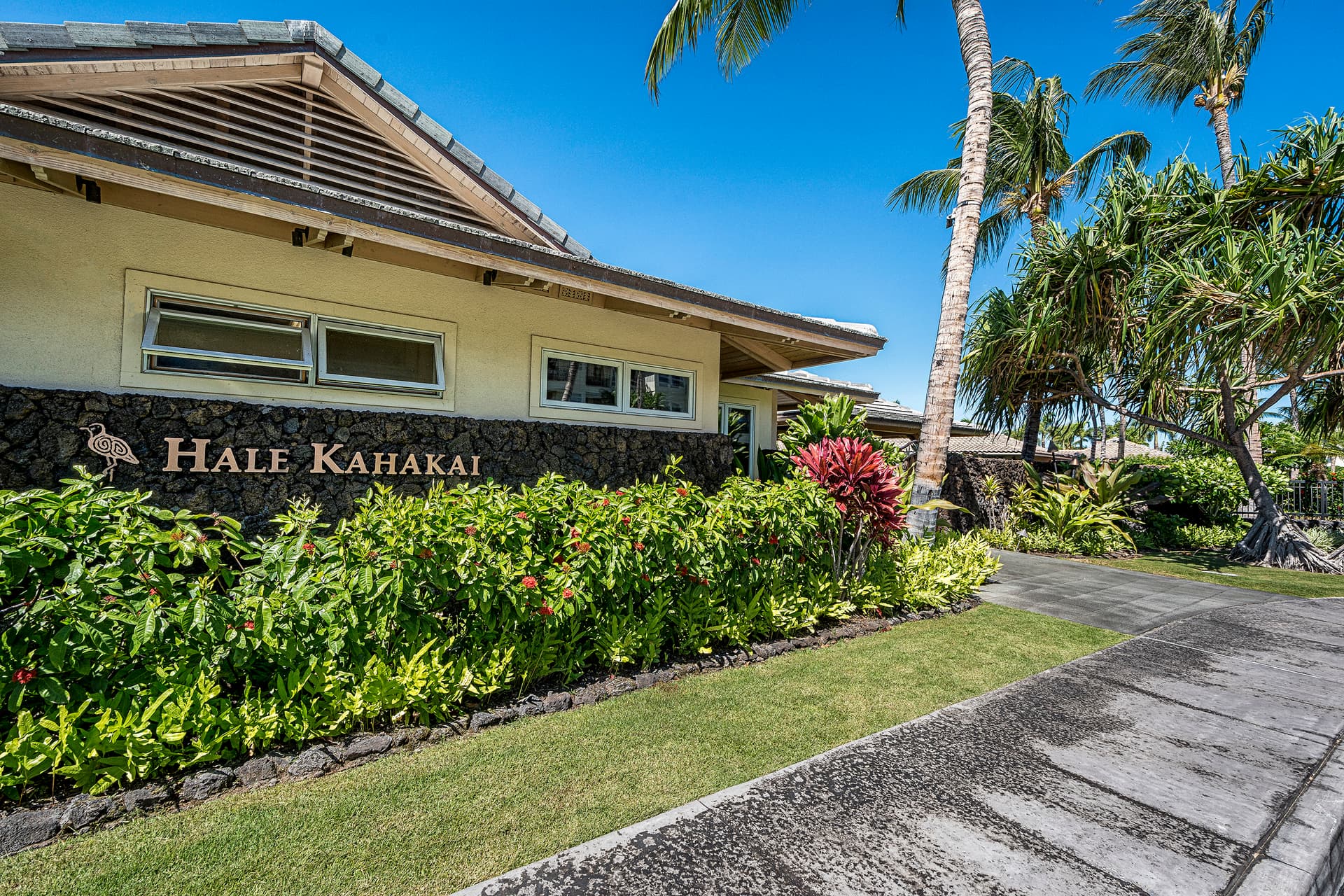 Blue Sunset - Image 54