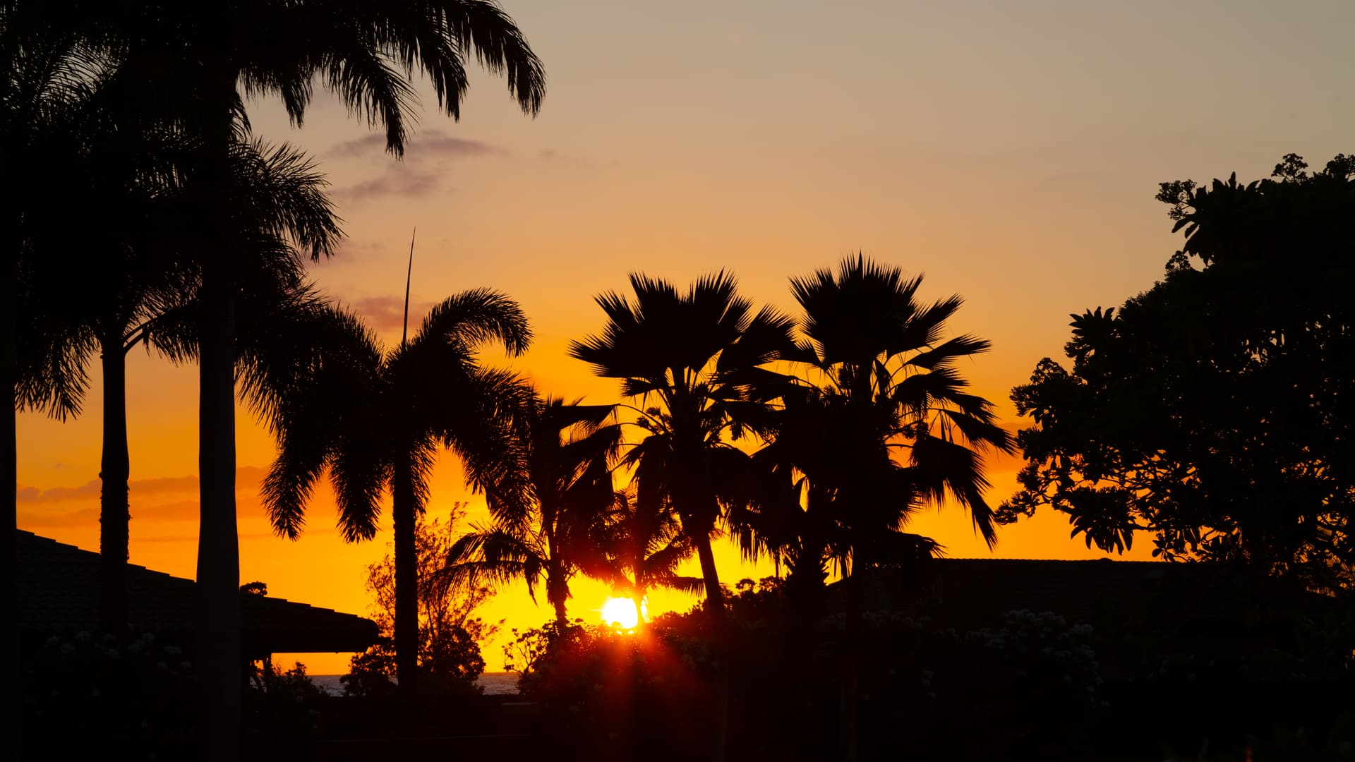 Blue Sunset - Image 61