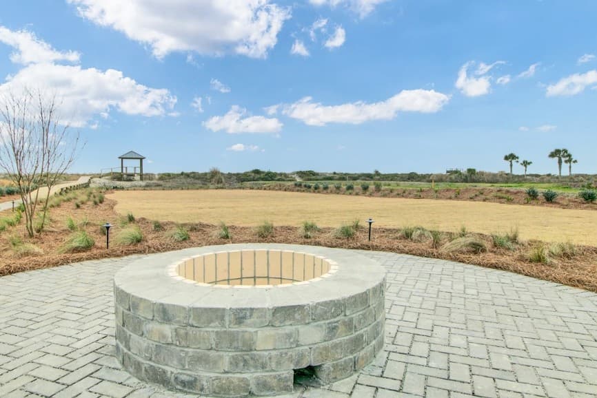 Palm #3108 - Image 7