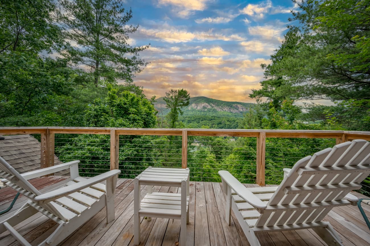 Branching Out - Image 3