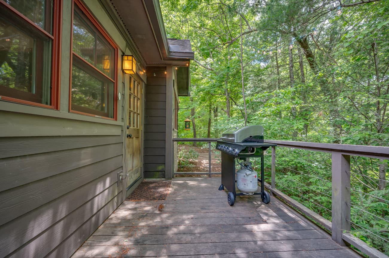 Branching Out - Image 17