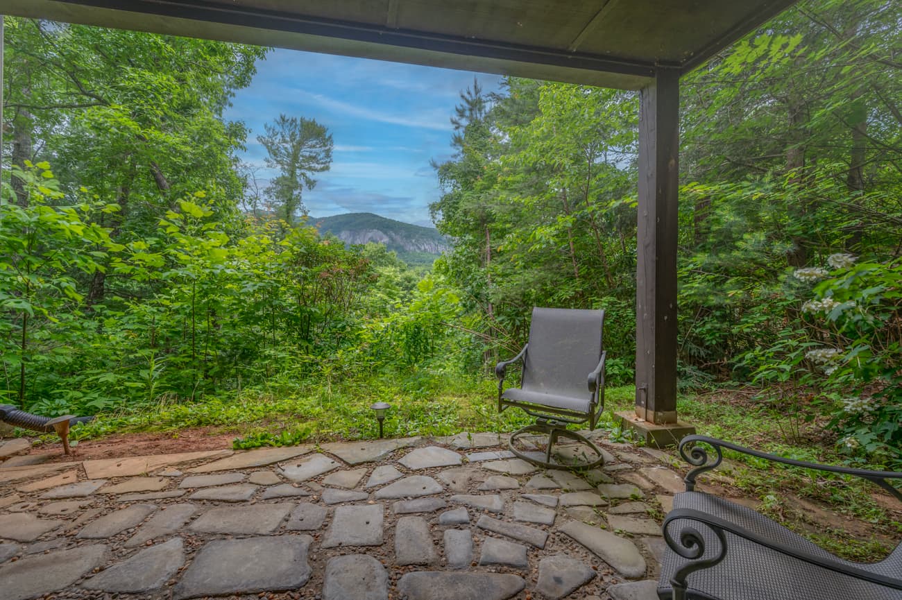 Branching Out - Image 29