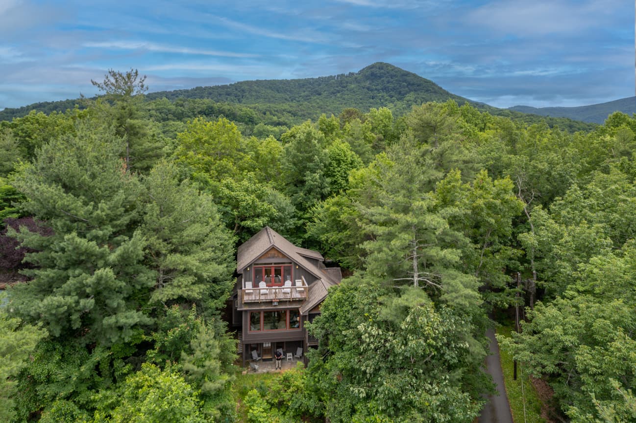 Branching Out - Image 42