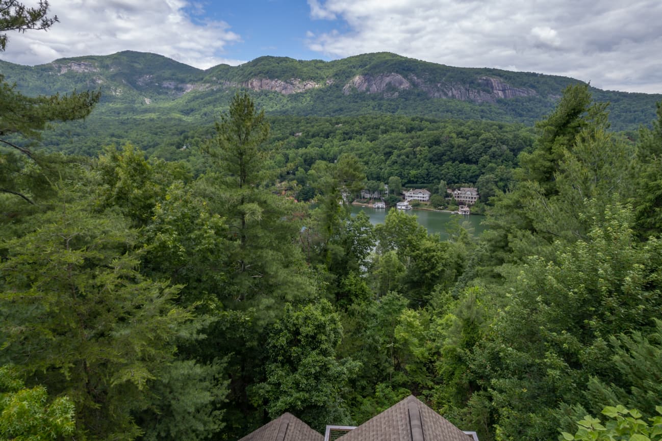 Branching Out - Image 43