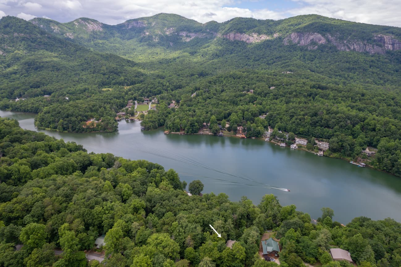 Branching Out - Image 44