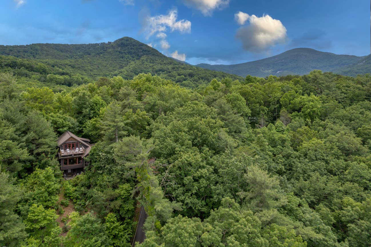 Branching Out - Image 48