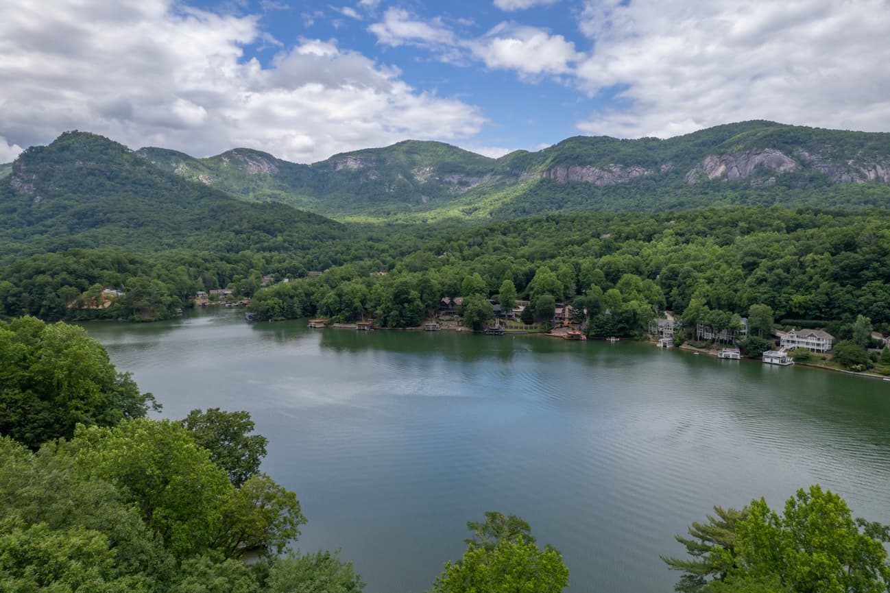 Branching Out - Image 2