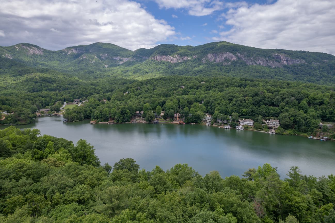 Branching Out - Image 51