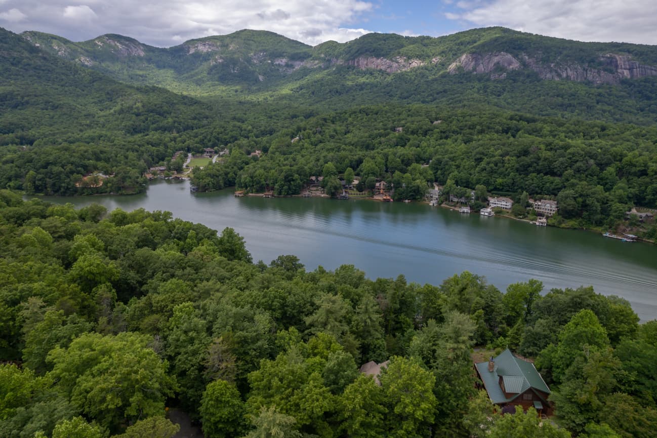 Branching Out - Image 52