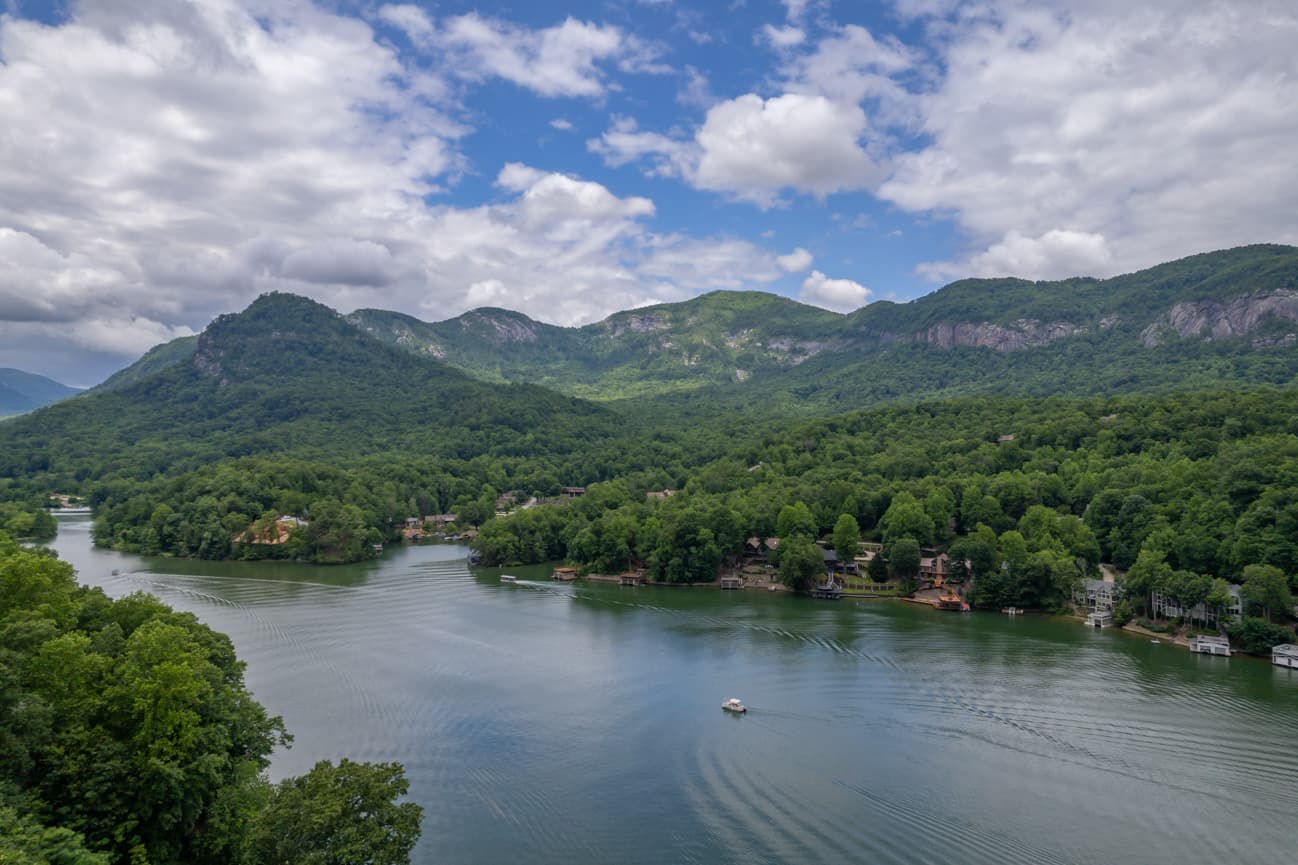 Branching Out - Image 53