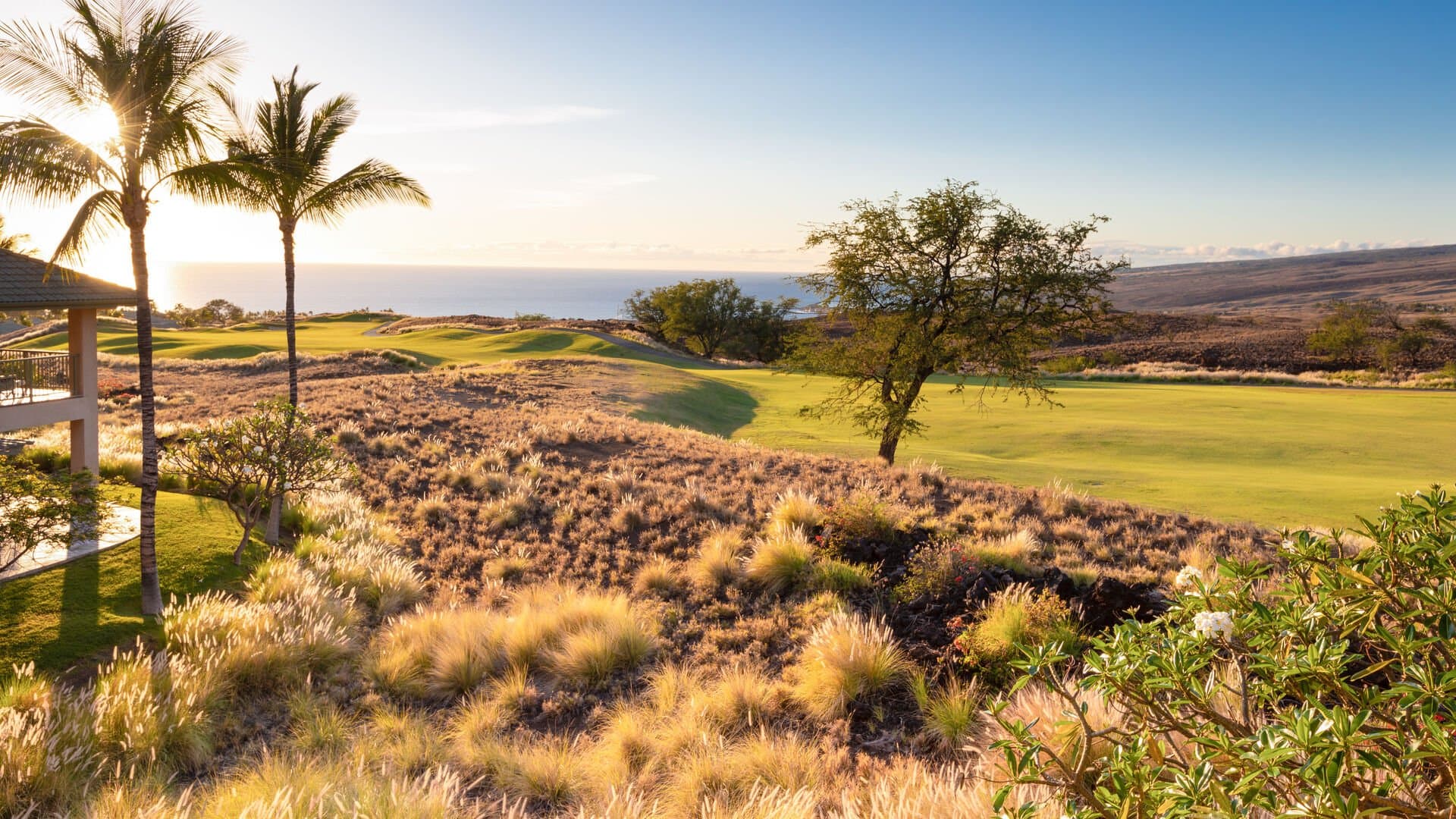 Endless Ocean Views - Image 45