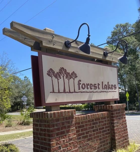 Longleaf Pines - Image 45