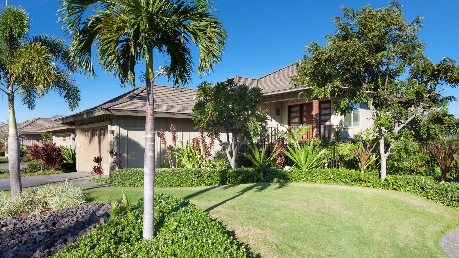 House of Joy - Image 35