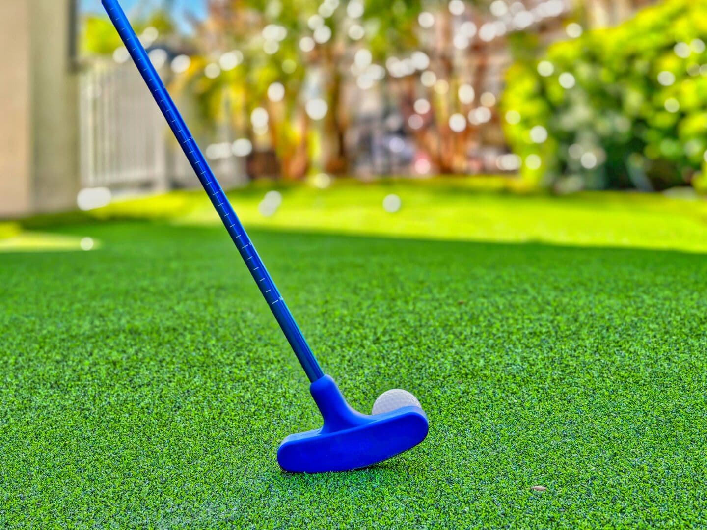 Golfers Dream - Image 96