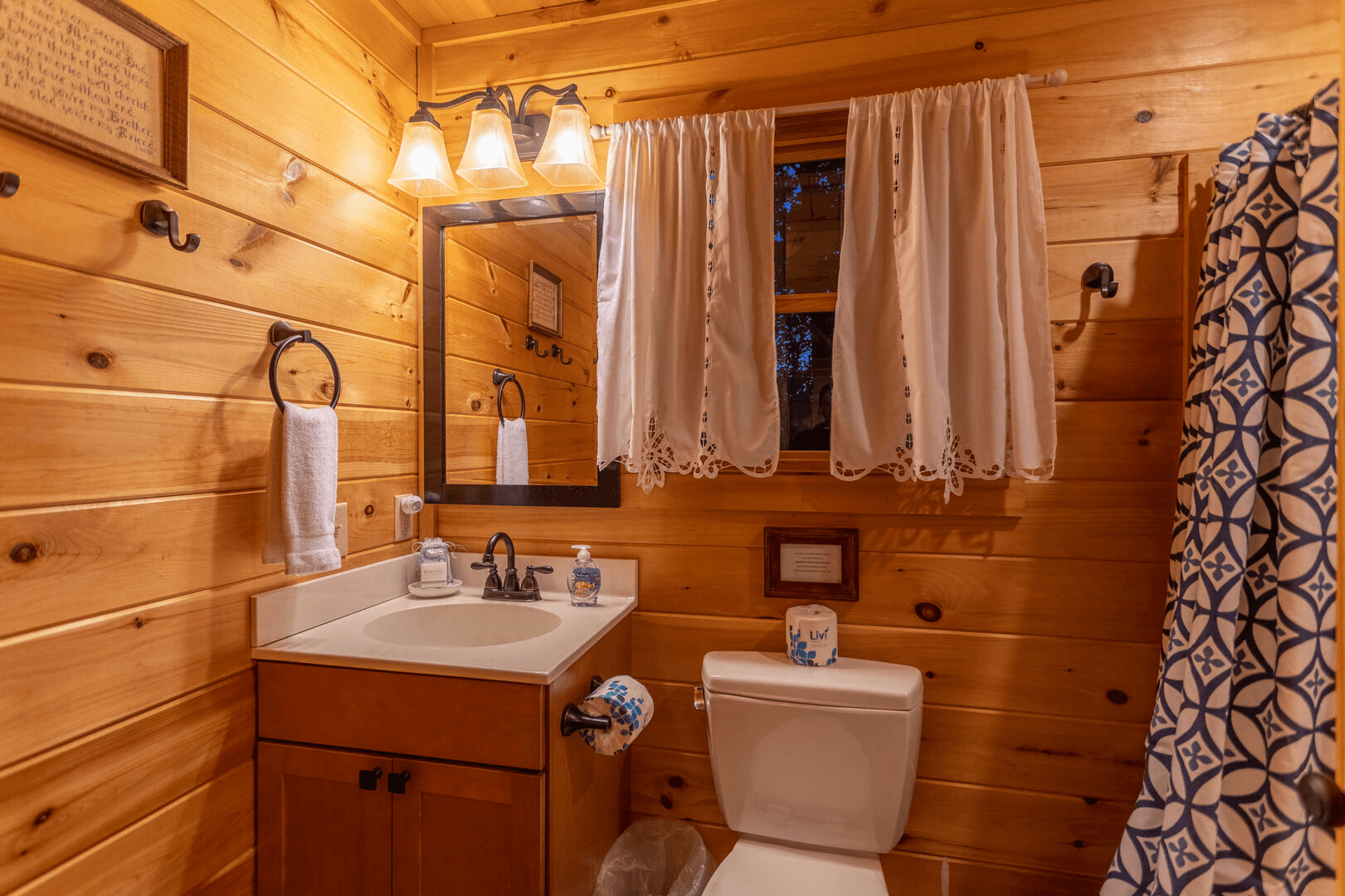 Bearadise at Blue Ridge - Image 19