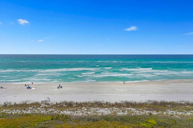 Sea Sabella - Image 39