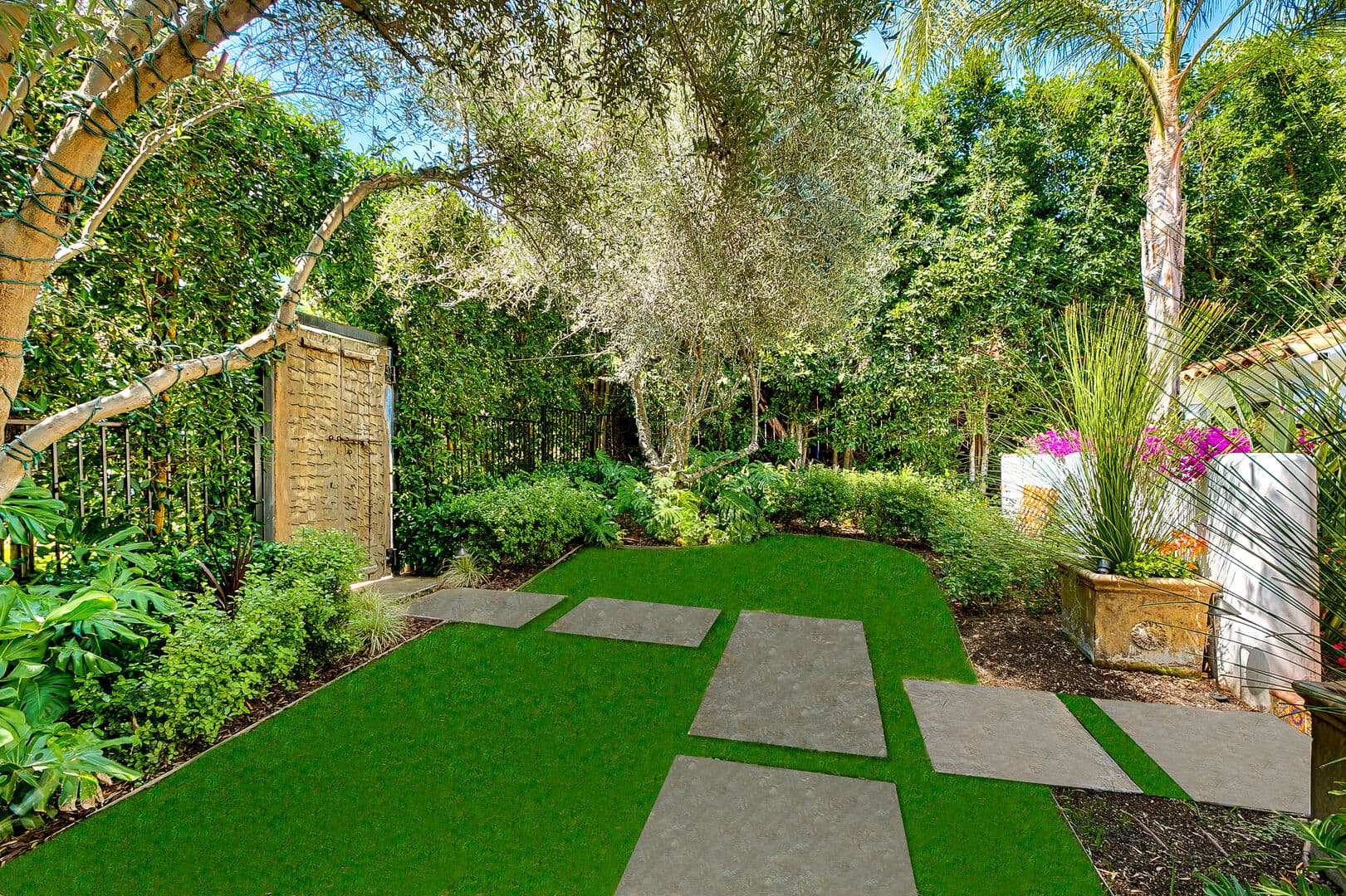 Olive Branch - Image 2