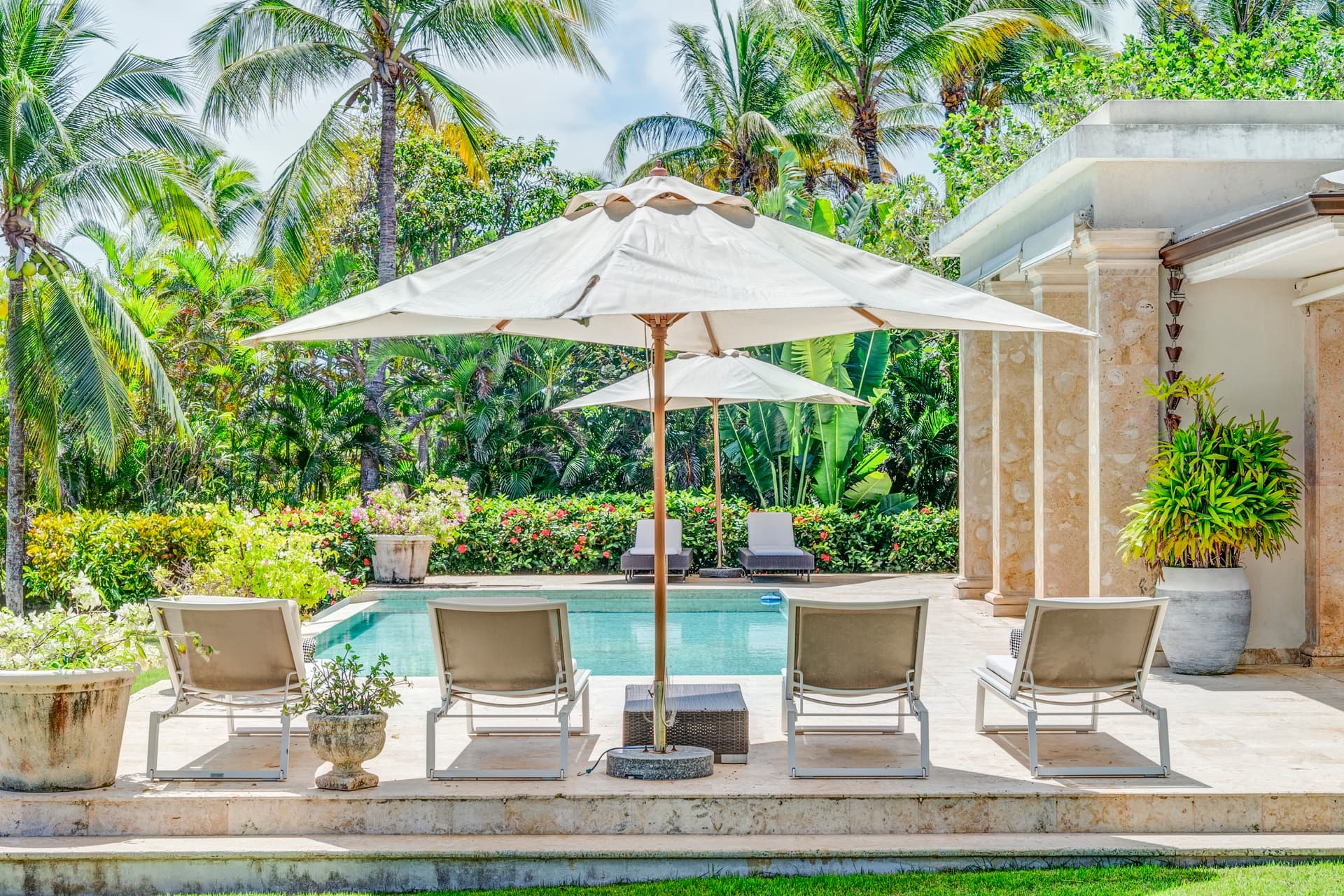 Tortuga #B28 - Image 2