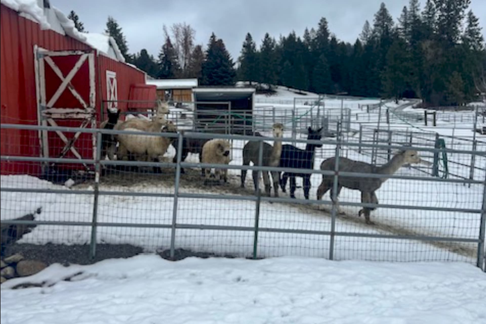 Lake View Getaway - Image 41