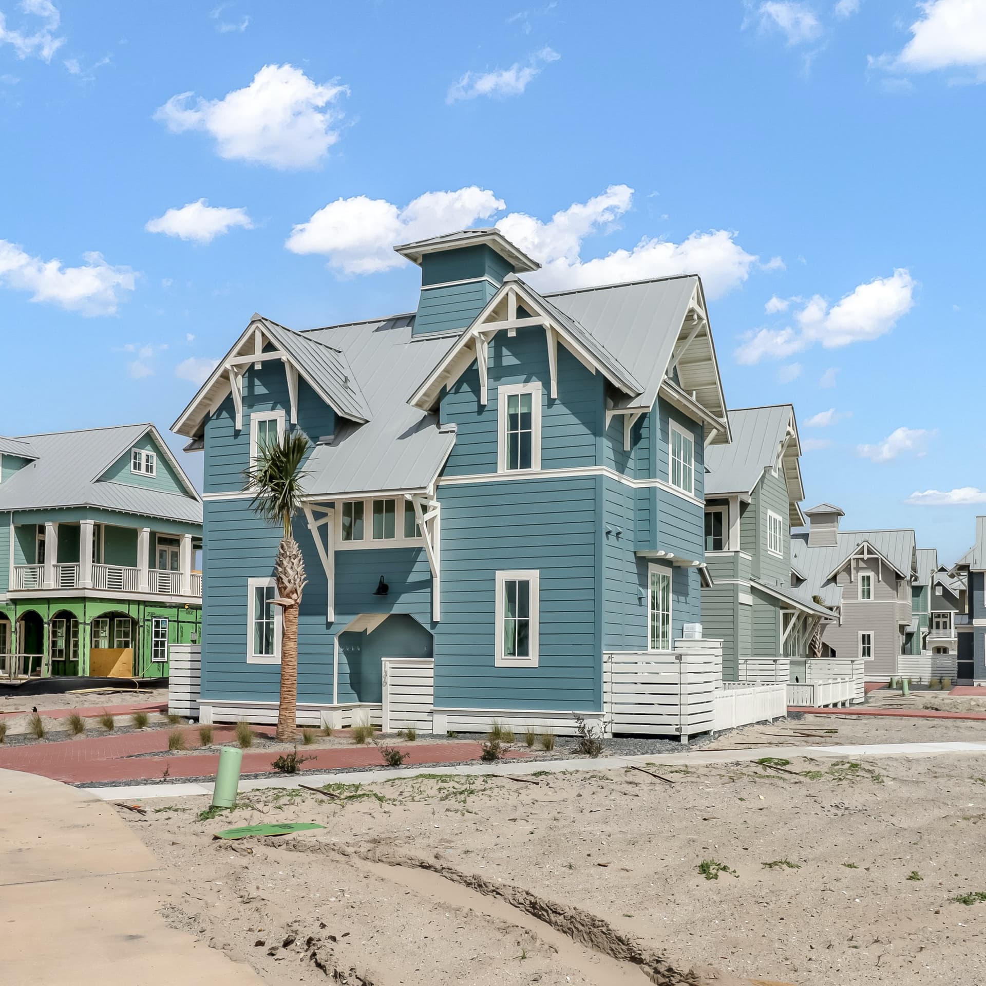 Sun-drenched on Sundew - Image 1