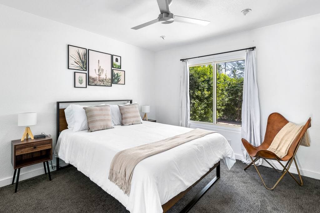 Lux Palmas - Image 27