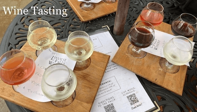 Halftime Haus - Image 48