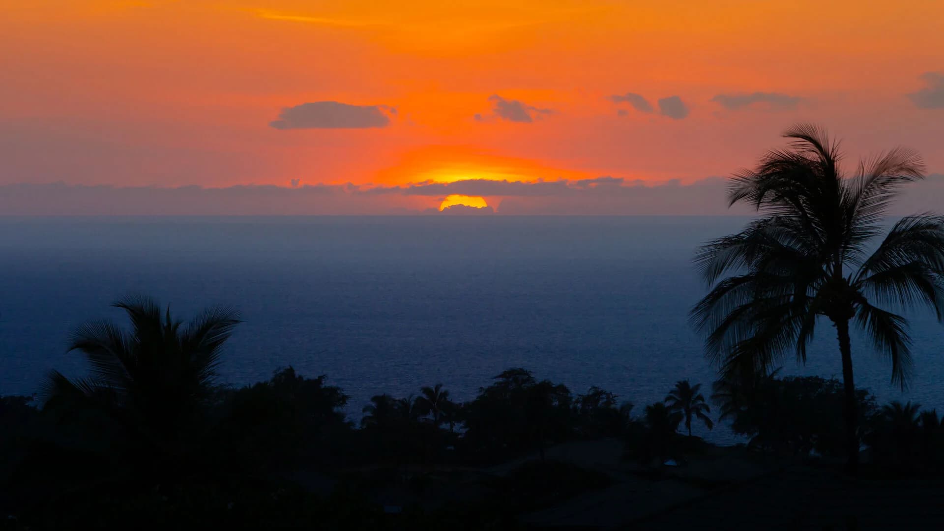 A Sea-nic Escape - Image 63