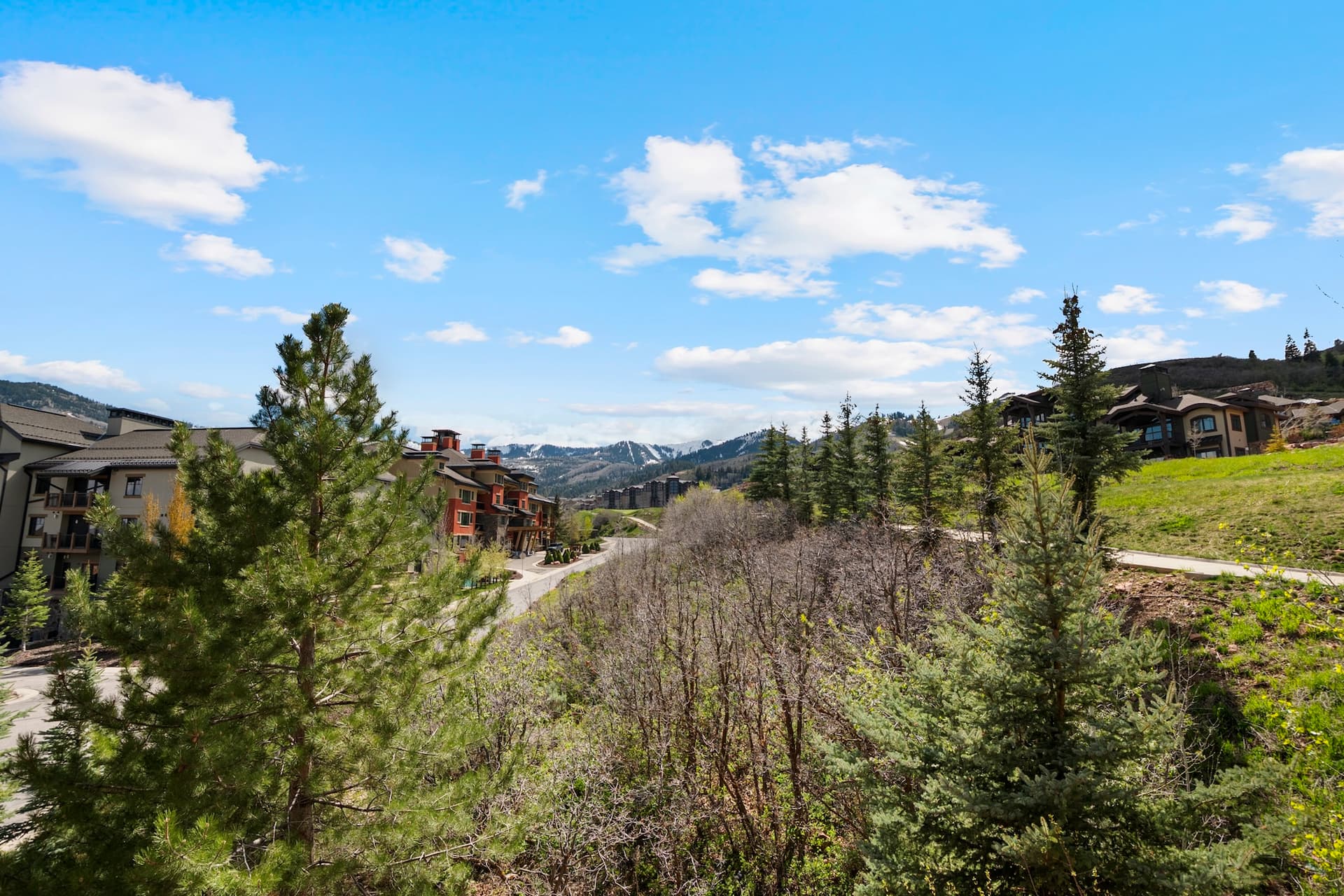 Juniper Landing #104 - Image 13