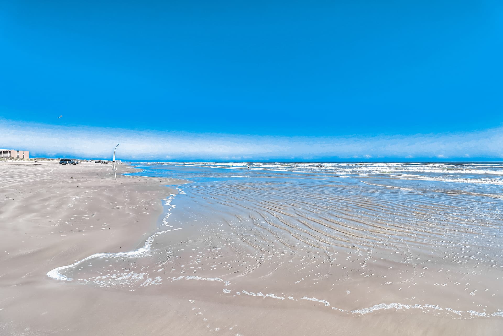 Sun-drenched on Sundew - Image 26