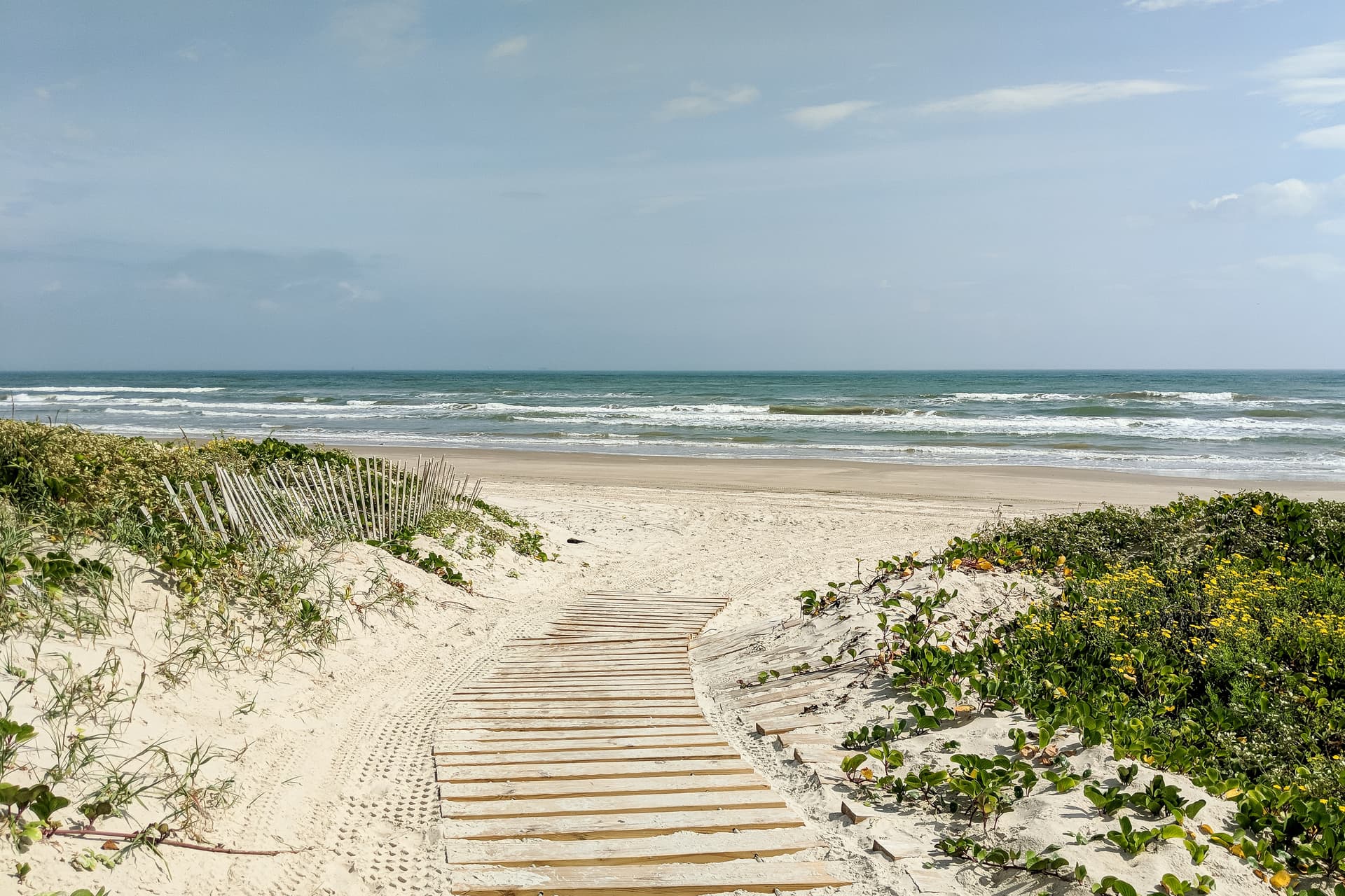 Salty Kisses - Image 30