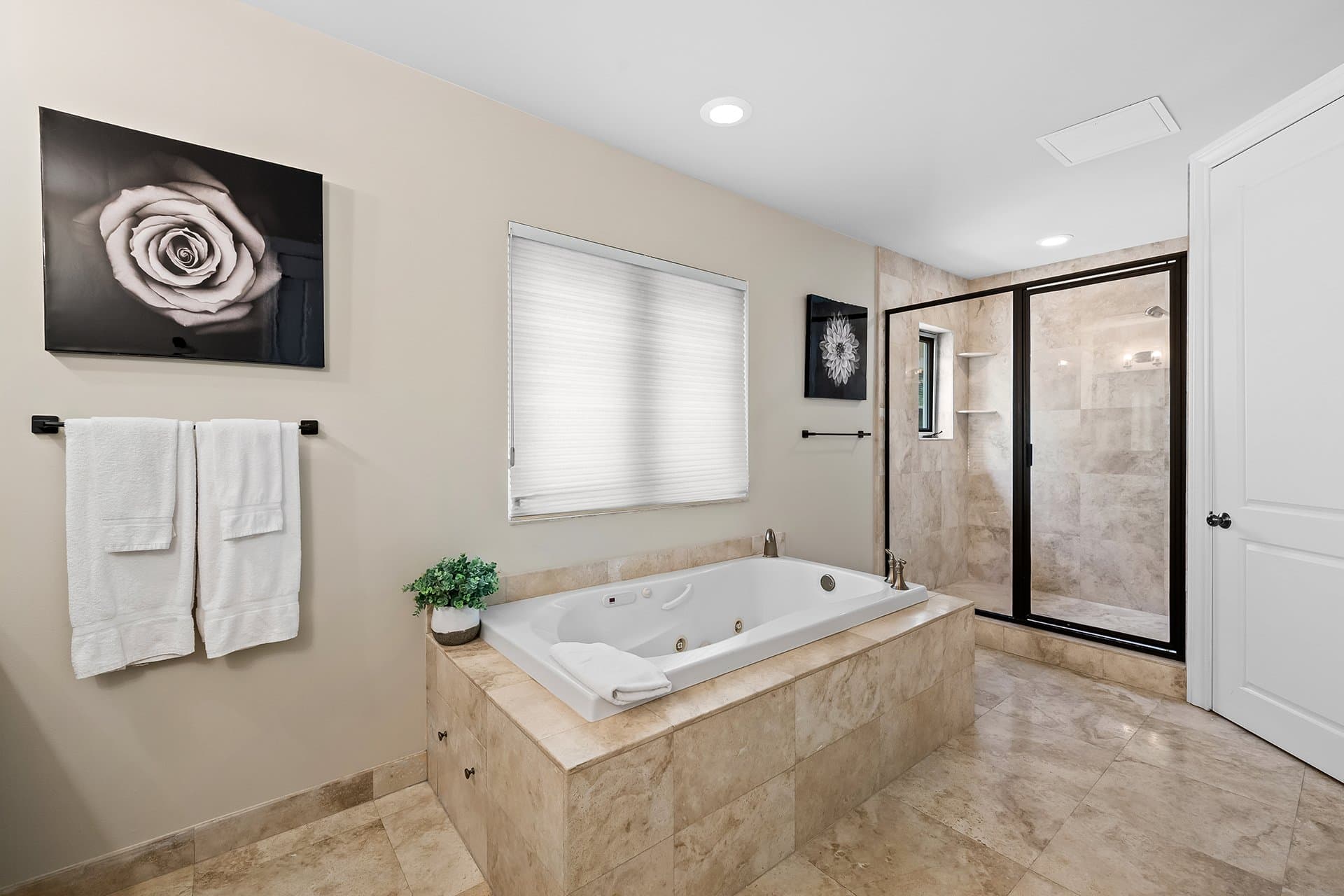 Casa Central - Image 7