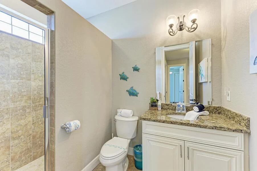 Island Nautilus - Image 22