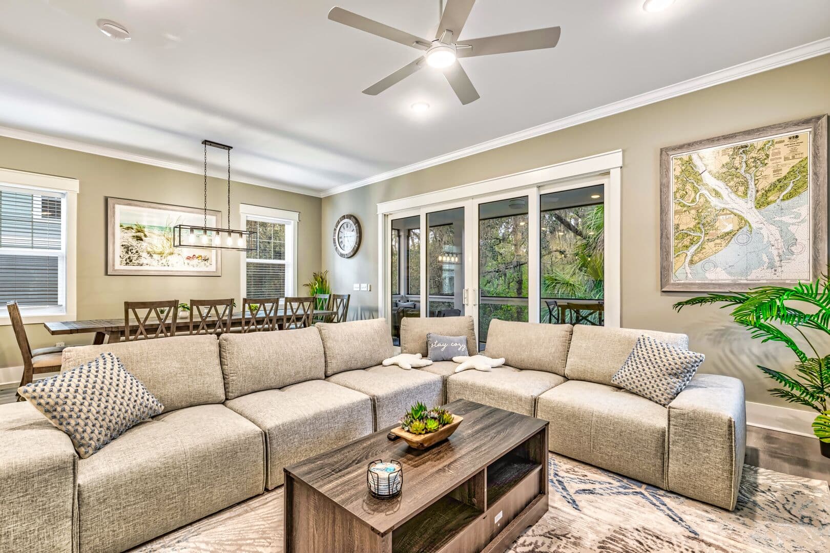 Turtle Tides - Image 6