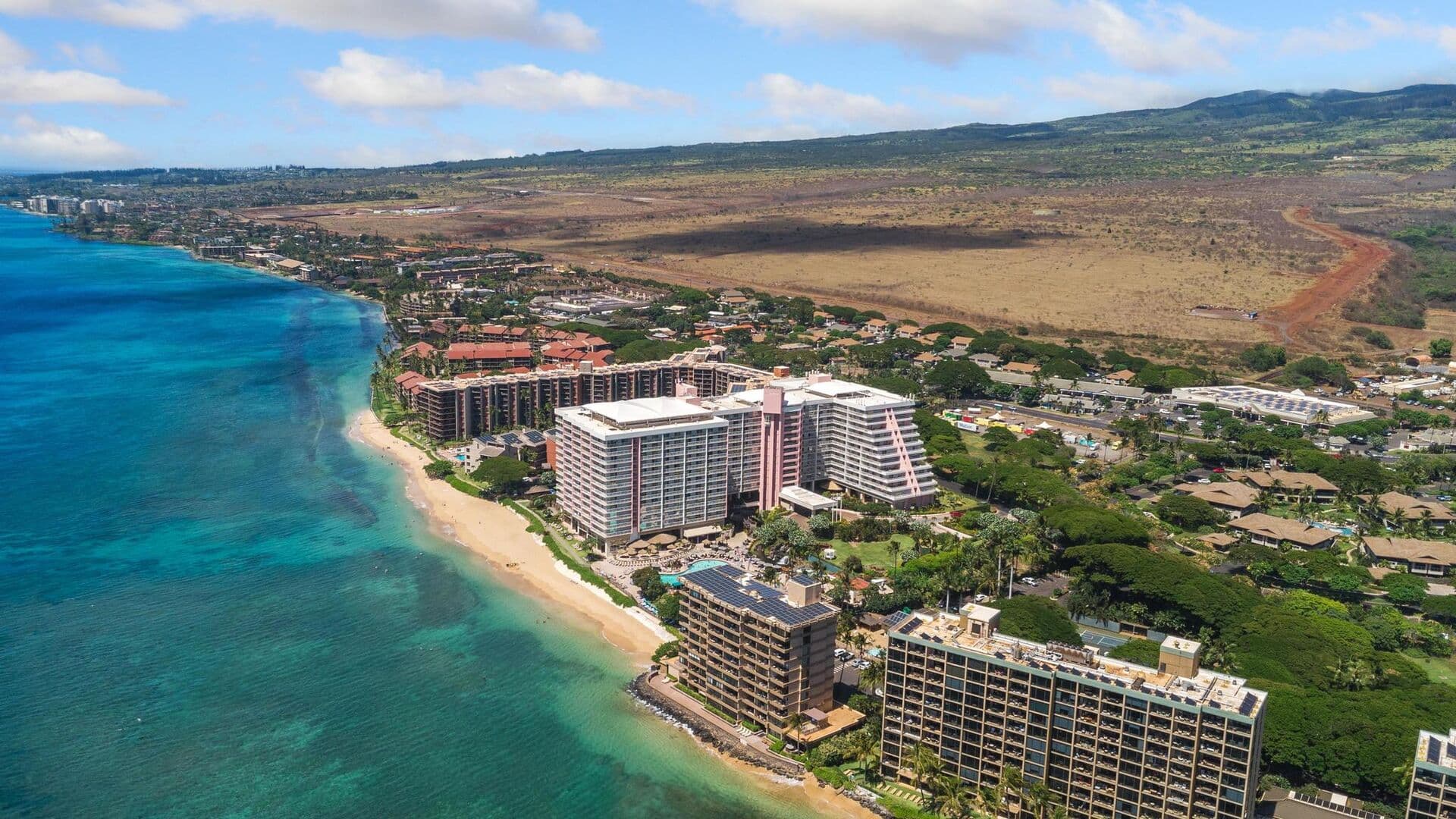 Maui Kai #301 - Image 50