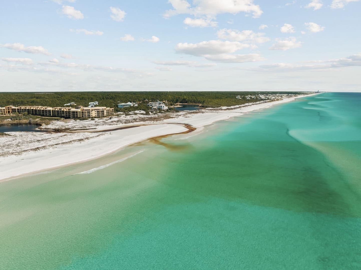 One Fish Two Fish - Image 125