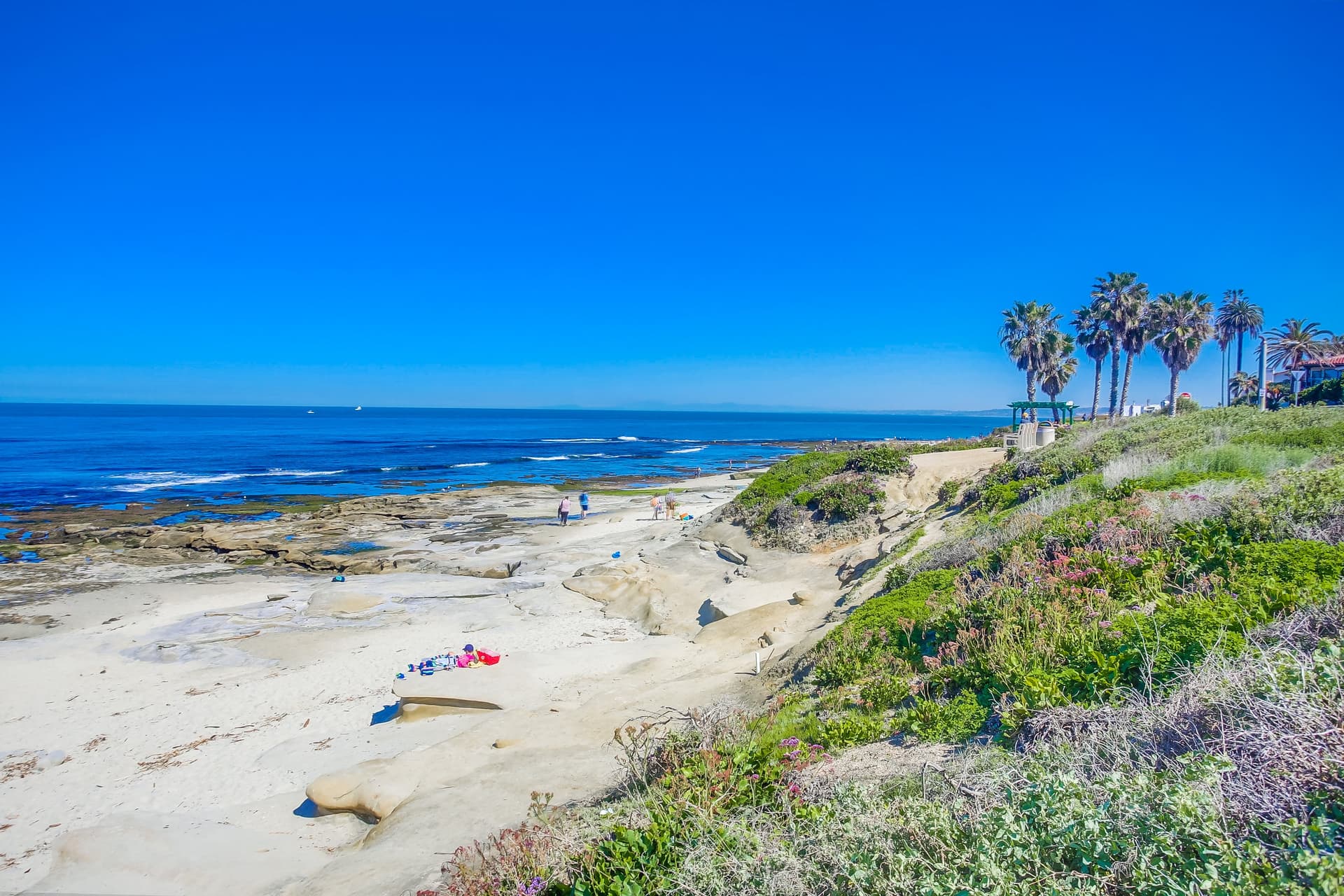 Coastal Gem - Image 30