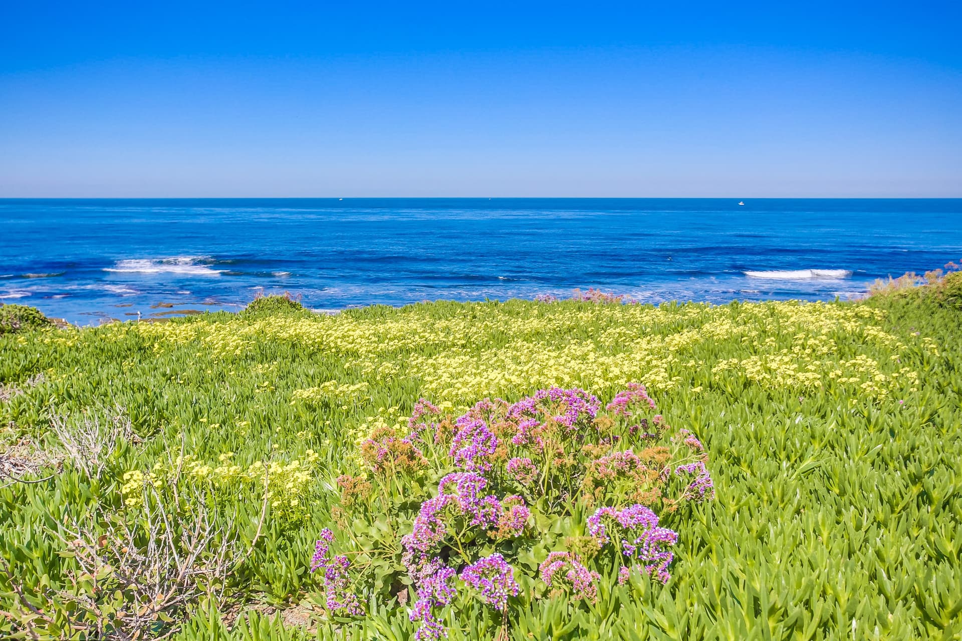 Coastal Gem - Image 32