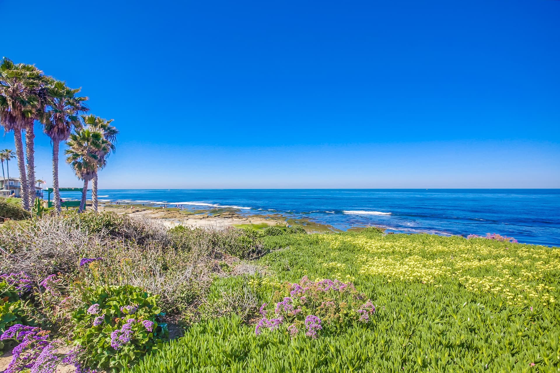 Coastal Gem - Image 31