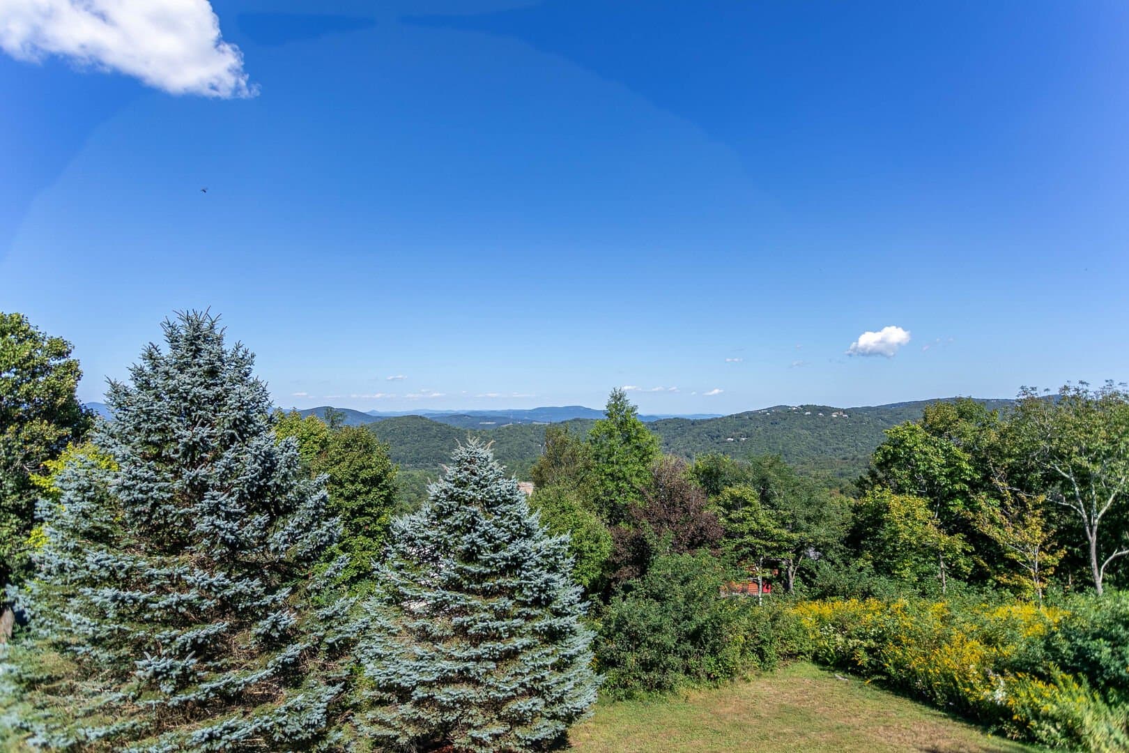 Aspen Memories - Image 49