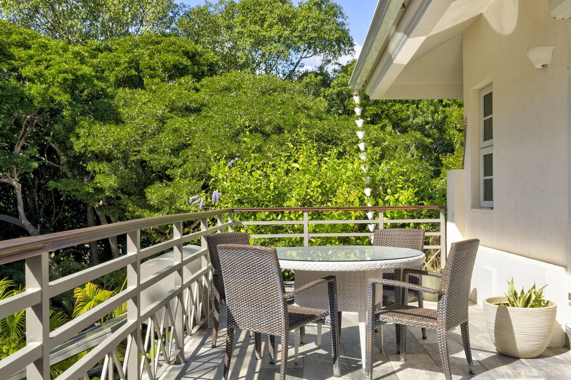 Tortuga #B55 - Image 19