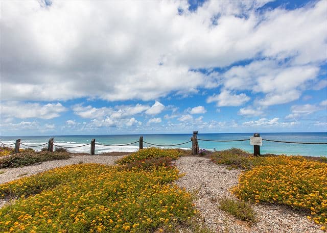 Shore O'Clock - Image 42